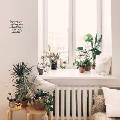 big window in white room with plants on the windowsill