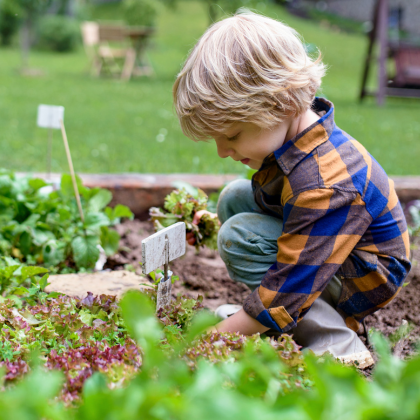 person laying in bed with their dog