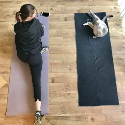girl and cat on yoga mats on wood floor