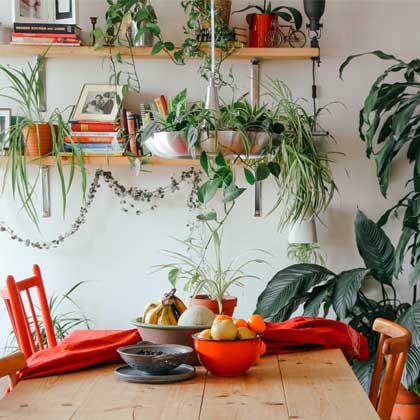 bright dining room table with lots of fruits and veggies on it