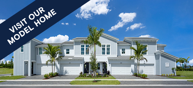 Biscayne Urban Transitional