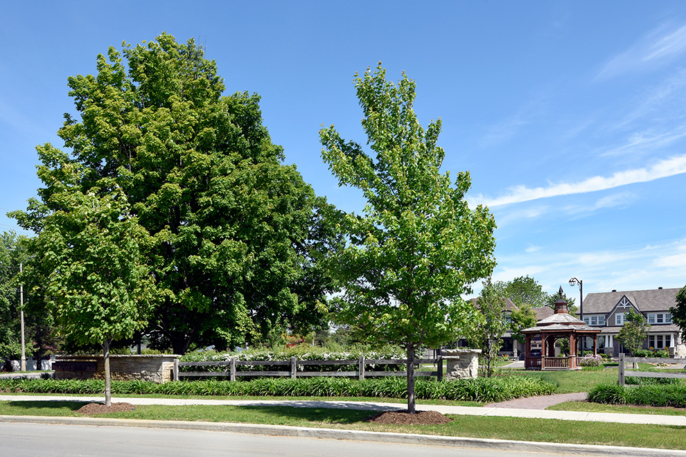 Road in Mahogany - a community in Manotick, by Minto Communities