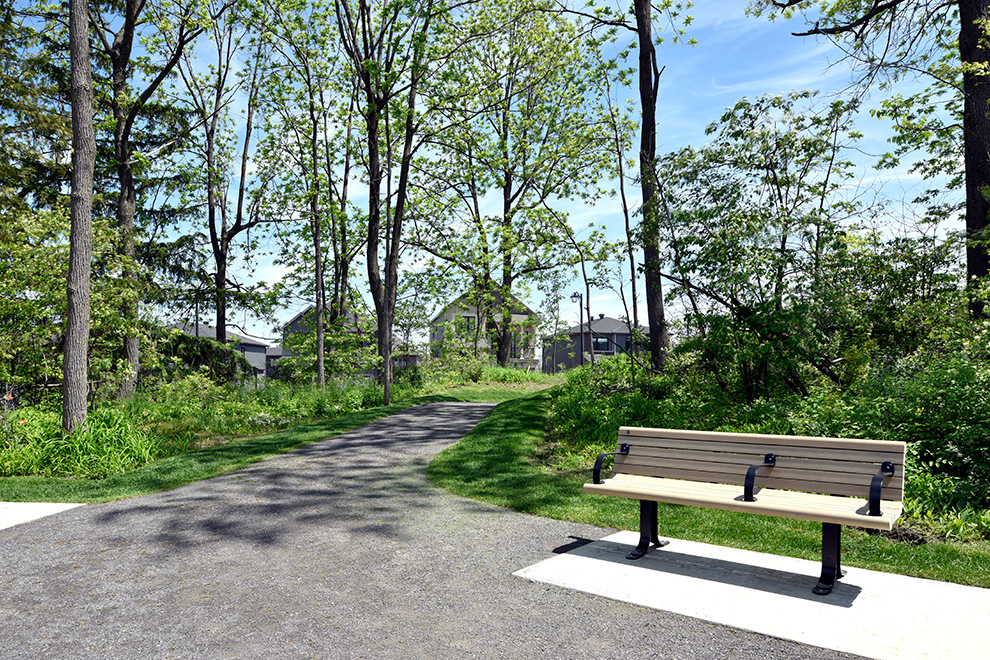 Beautiful sunny pathway with bench - Mahogany, Manotick - a community by Minto Communities
