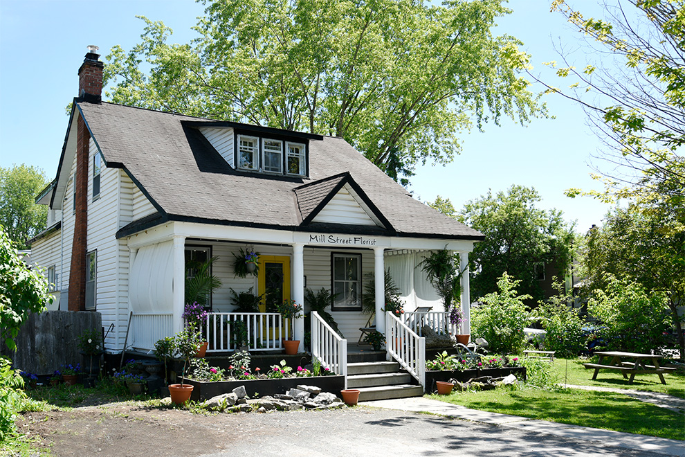 Mill Street Forest in Manotick Village - near Mahogany, a community by Minto Communities