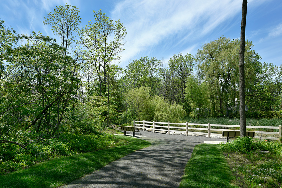 Walkway to bench near water in Mahogany, Manotick - a community by Minto Communities
