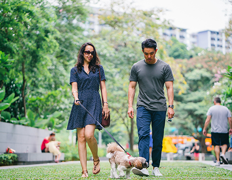 New condos now on sale