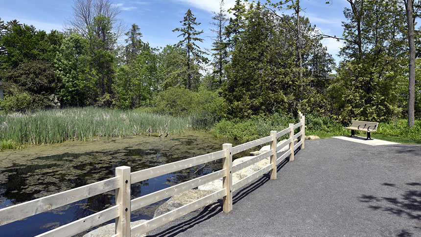 A photo of a small pond in Mahogany, Manotick