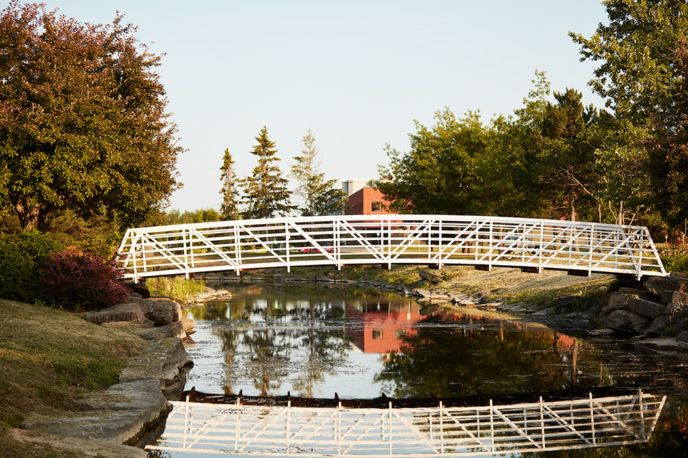Enjoy a scenic stroll through our Brookline community