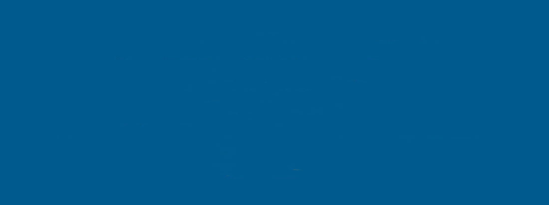 alt text - shouldnt be visable