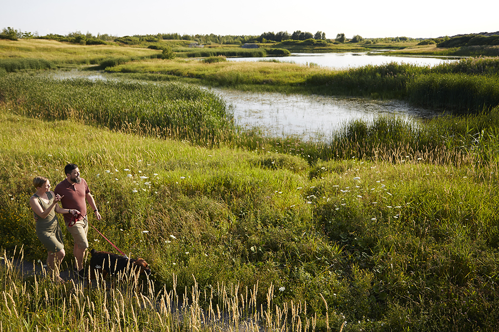 Couple walking their dog on path next to water