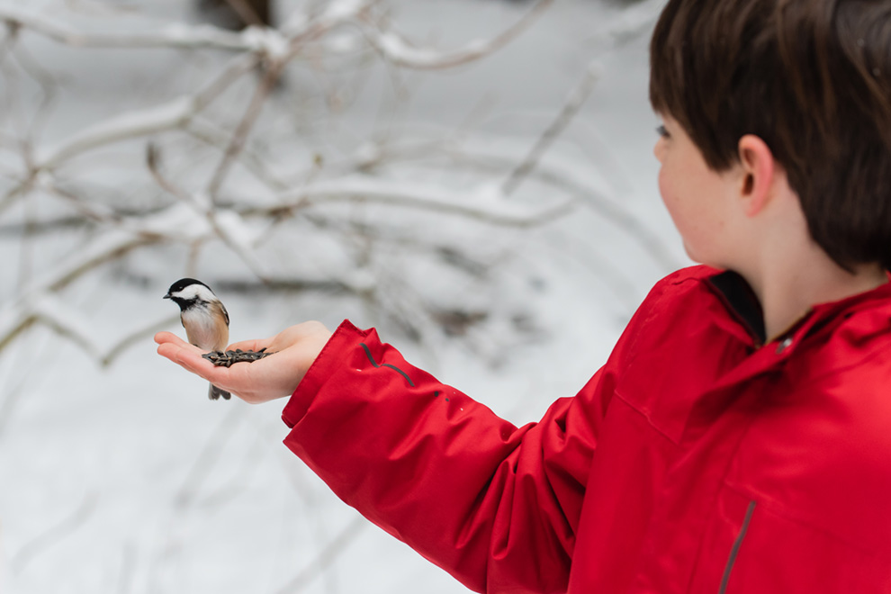 Bird feeding near Quinn's Pointe, Barrhaven