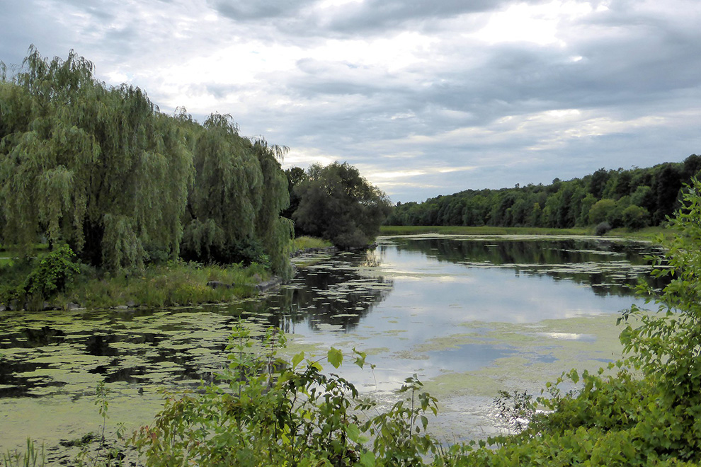 Beaver Pond