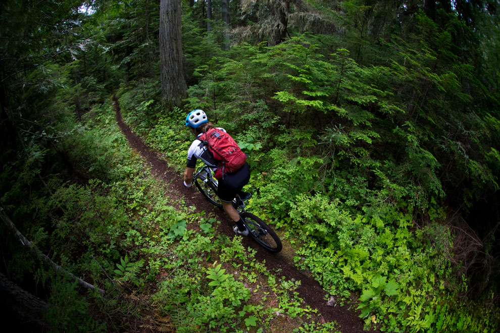 Mountain biking on a trail in South March Highlands Conservation Forest in Kanata.