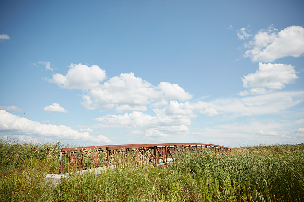 Bridge surrounded by tall grass. Carp River in Ottawa.