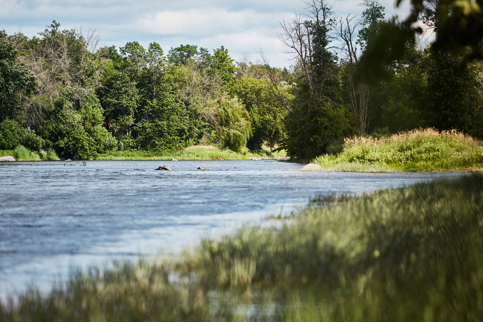 View of the Rideau River. Discover nature and things to do outside in Manotick near Mahogany.