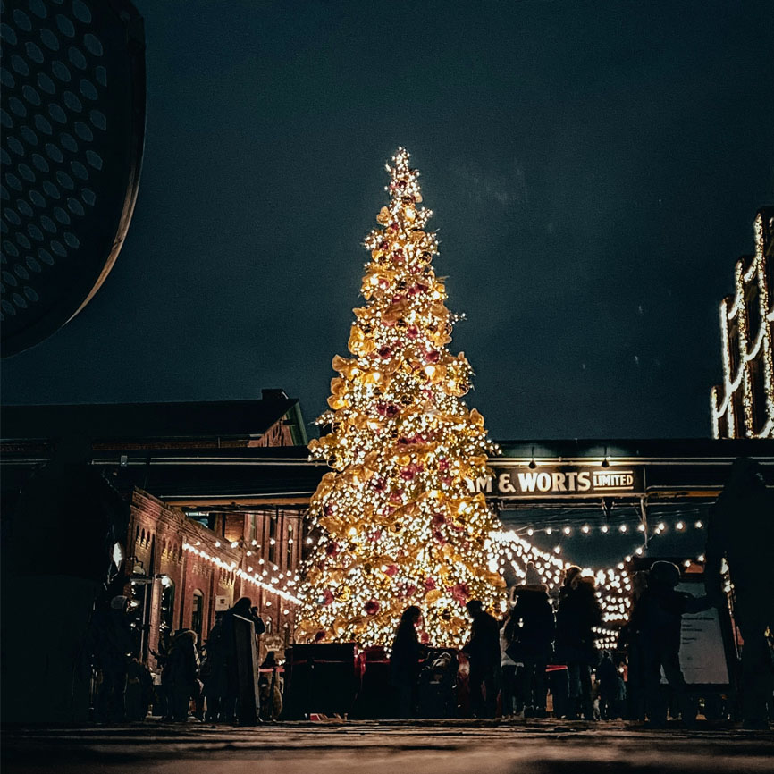 Experience holiday magic at Canada's Wonderland's iconic winter festival -  NOW Toronto