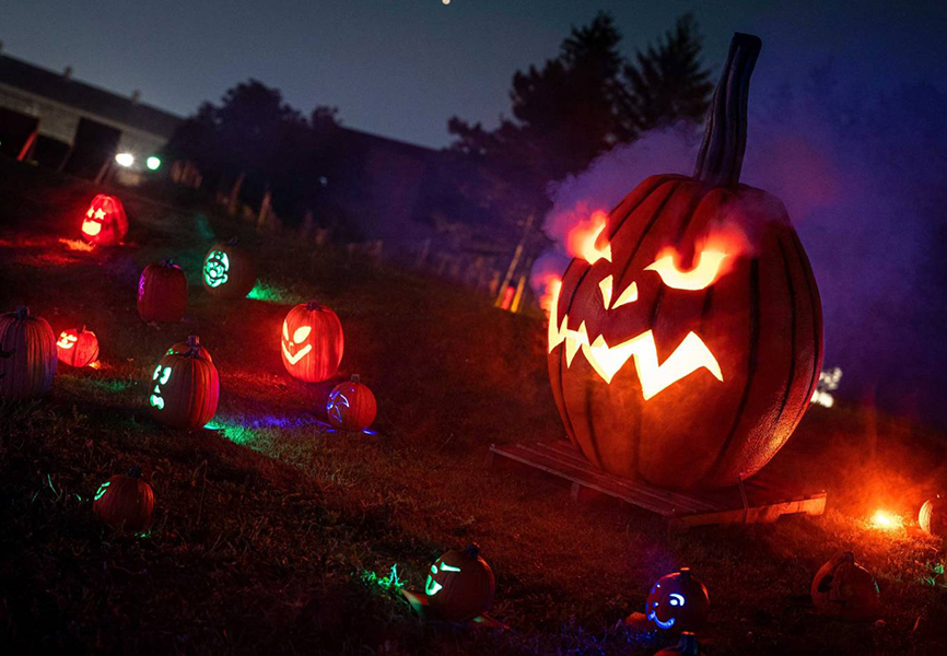 Pumpkin carving, reggae festival among Halloween festivities this