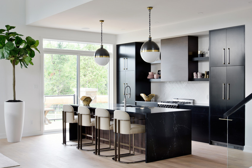 Kitchen with black cabinets 