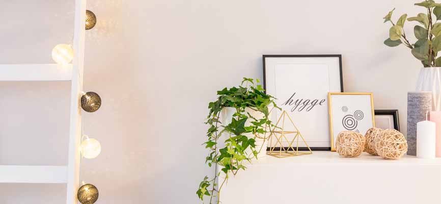 plants and art on a shelf in a house