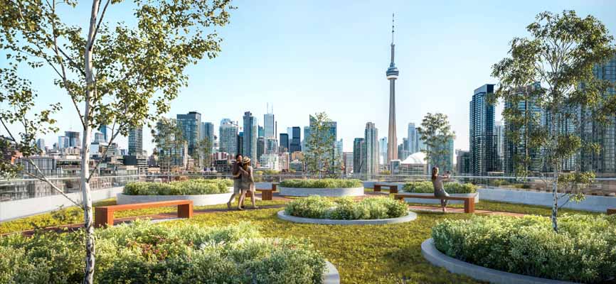 Niagara West rooftop view of CN Tower och Toronto Skyline