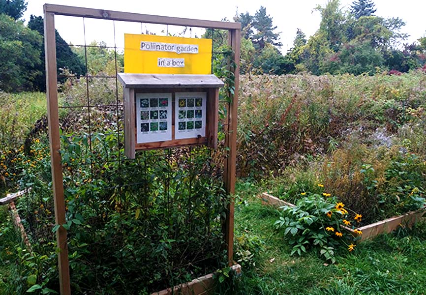 Beautiful garden filled with wild flowers