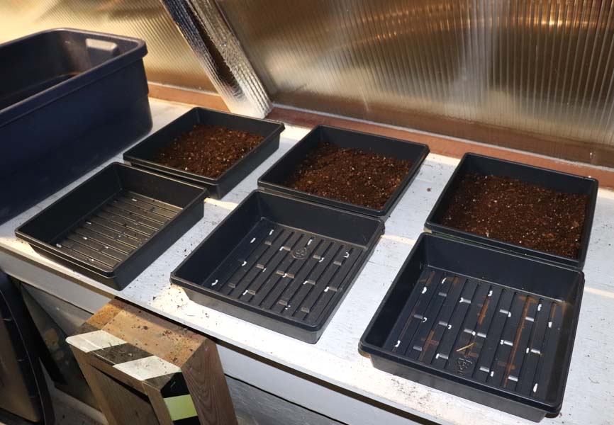 containers with packed dirt 