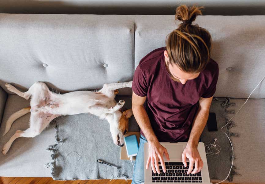 Man using a laptop on the couch next to his dog