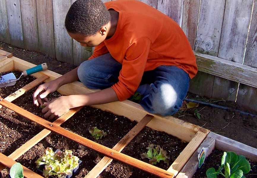 man kneeling down gardening