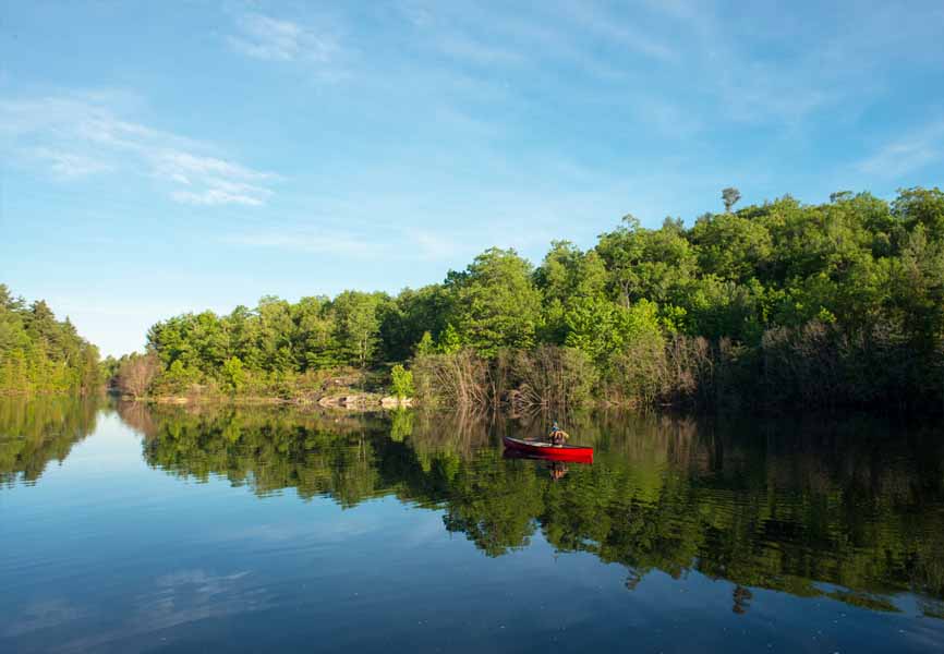 person canoeing in a lake with lots of trees in the background