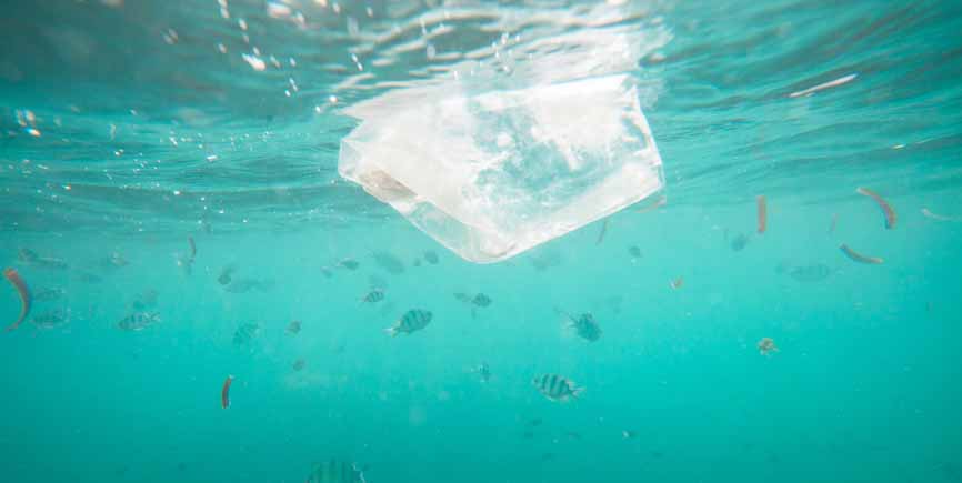 ocean with fish and plastic bag floating