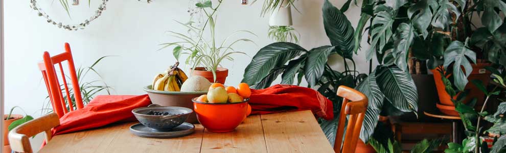 bright dining room table with lots of fruits and veggies on it