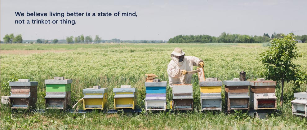 beekeeper tending hives on a beautiful sunny day