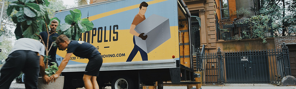 A group of movers moving a large plant