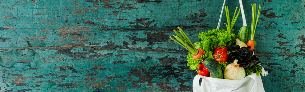 Person holding a plant
