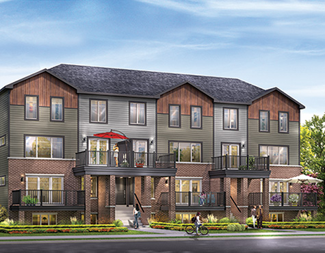 Terrace Home Elevation