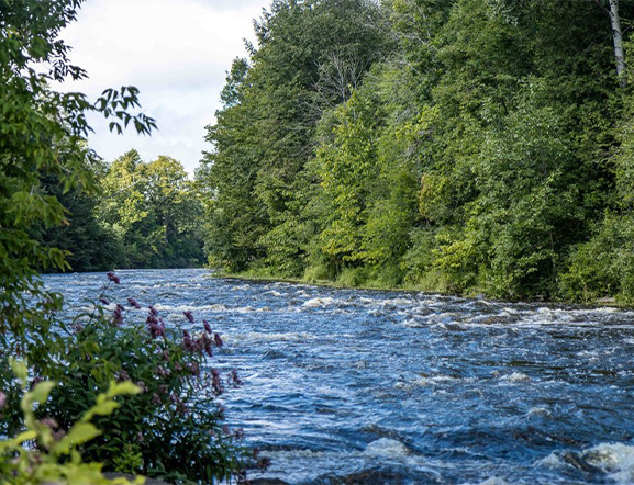 Photo of Jock River along Stonebridge Trail