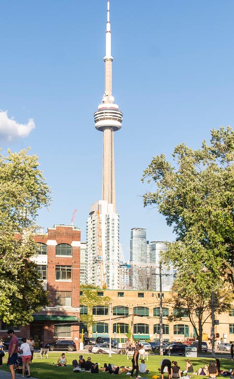 View of CN Tower in Toronto and park around Portland and Adelaide area. New condos for sale in Toronto, 123 Portland by Minto Communities.