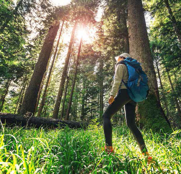 A person hiking in a forest. The Heights of Harmony in Oshawa, Minto Communities.