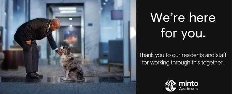 2 Bedroom Apartments For Rent Toronto Pet Friendly لم يسبق له مثيل