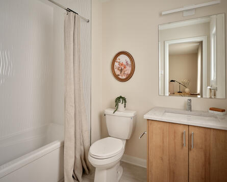 Ashbury Bathroom