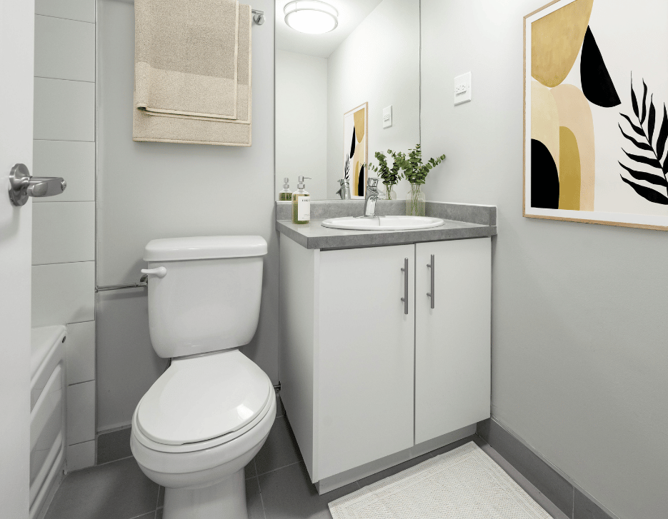 Rockhill Apartments - Studio Suites Renovated 4