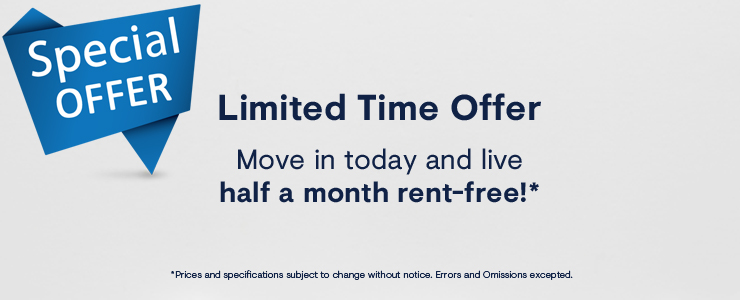 Castle Hill Maitland Rent An Apartment In Nepean Minto