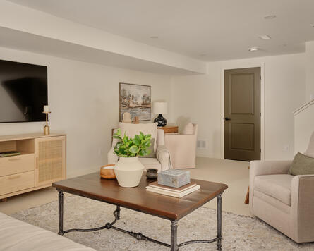 Eagleridge Basement