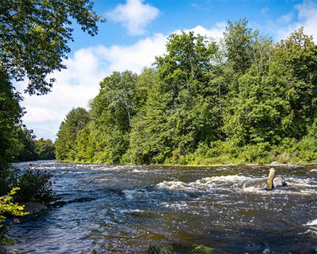 Stonebridge Trail